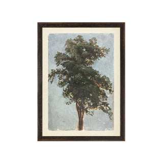 Tree Study, 1855